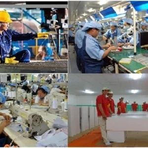 Lắp đặt và điều chỉnh thiết bị