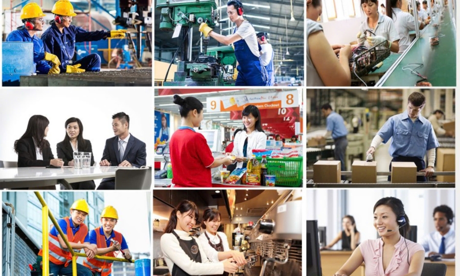 Cung cấp nguồn nhân lực
